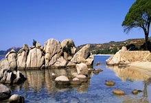 巴黎圣日耳曼对阵蒙彼利埃，这场比赛的比分会如何？